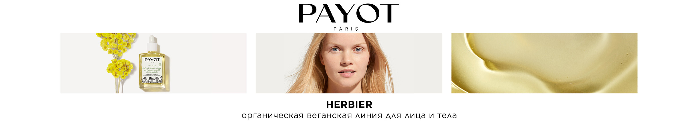 PAYOT