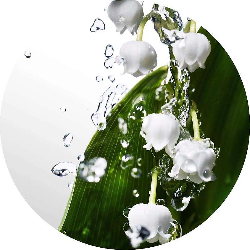 DAVIDOFF Cool Water Woman – фото 8