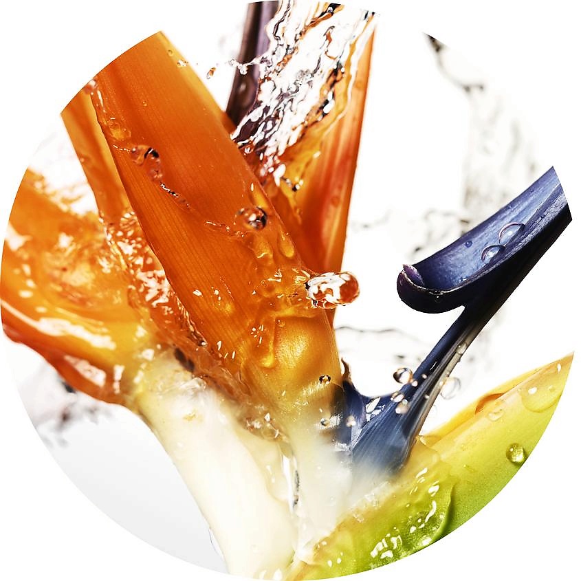 DAVIDOFF Cool Water Woman – фото 7