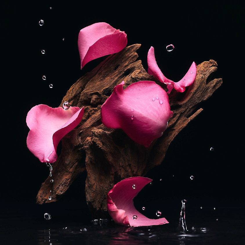 DOLCE&GABBANA Набор для знакомства с коллекцией Velvet collection – фото 3