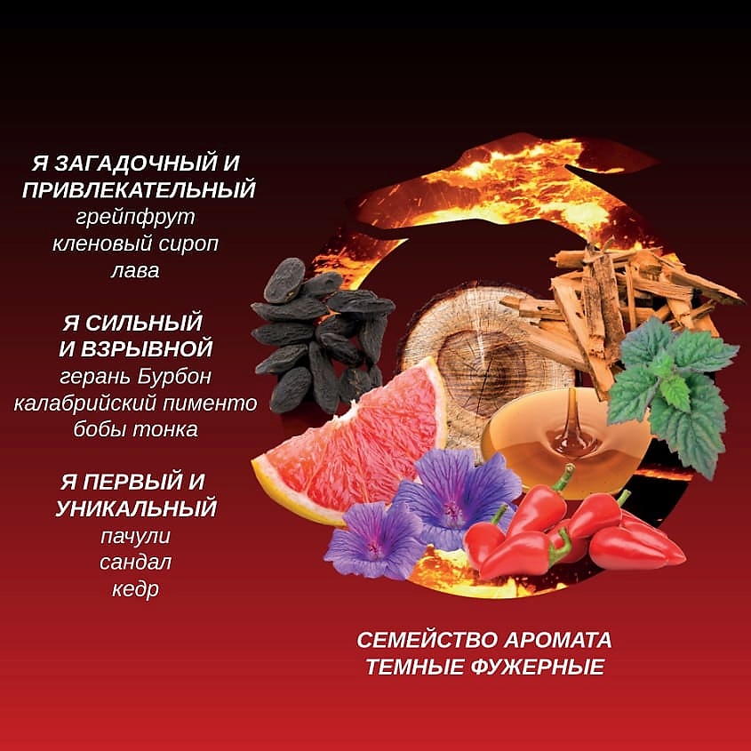 TRUSSARDI Primo – фото 5