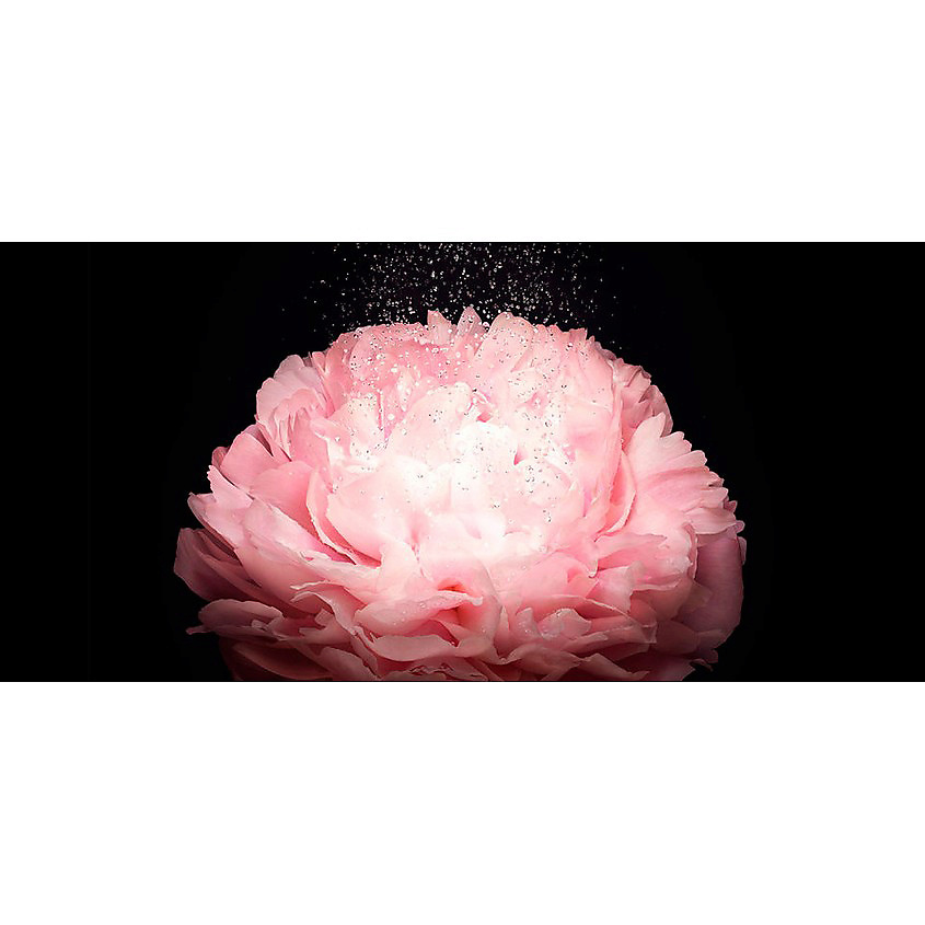 GIORGIO ARMANI ARMANI PRIVE PIVOINE SUZHOU – фото 5