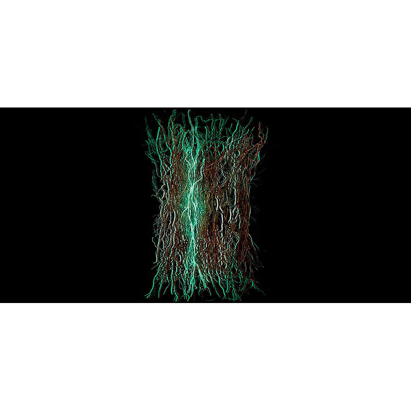 GIORGIO ARMANI ARMANI PRIVE VETIVER HIVER – фото 5