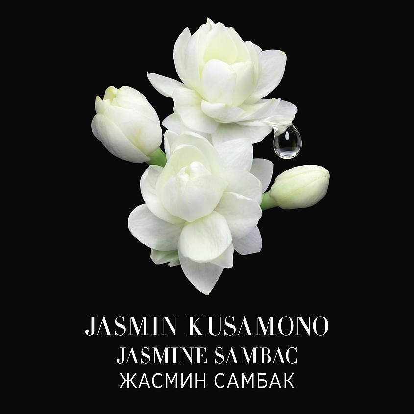 GIORGIO ARMANI Jasmin Kusamono – фото 6