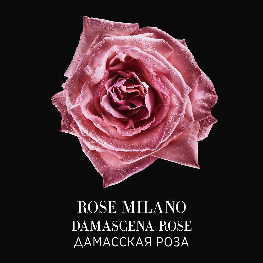 GIORGIO ARMANI Rose Milano – фото 2
