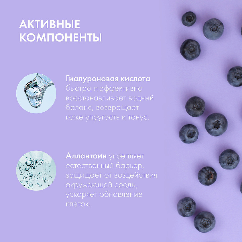 NATURA SIBERICA Мягкая очищающая крем-пенка для умывания Blueberry Siberica – фото 5