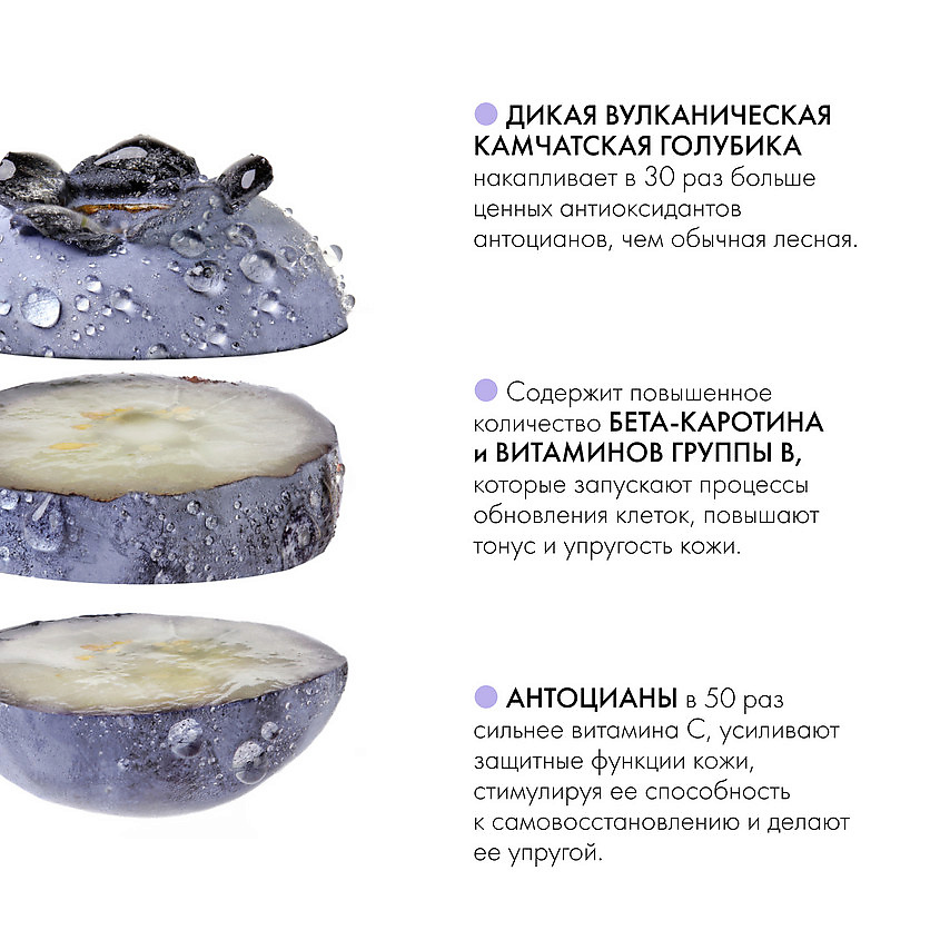 NATURA SIBERICA Мягкая очищающая крем-пенка для умывания Blueberry Siberica – фото 2