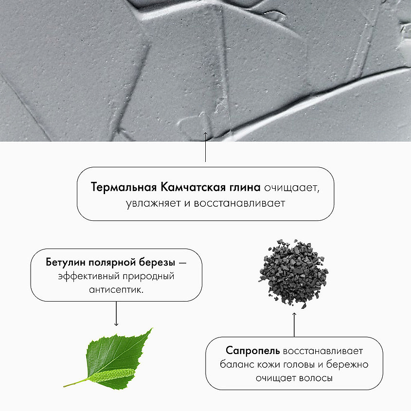 NATURA SIBERICA Скраб-маска для кожи головы перед мытьем головы "D-TOX. Super детокс" Hair Evolution – фото 2