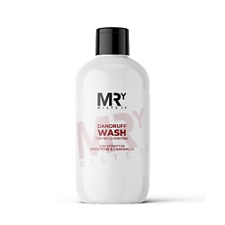 Шампунь для волос против перхоти мужской Dandruff Wash
