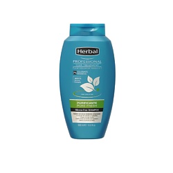 Шампунь для нормальных волос, склонных к жирности Professional Hair Treatment Pure Fresh Shampoo