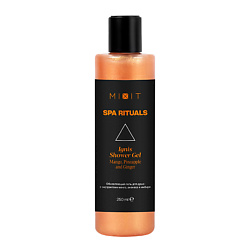 Обновляющий гель для душа экстрактами манго ананаса и имбиря SPA RITUALS Ignis Shower Gel