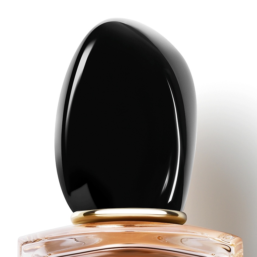 GIORGIO ARMANI SI – фото 11