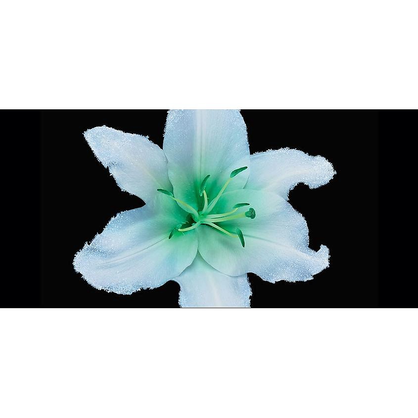 GIORGIO ARMANI ARMANI PRIVE VERT MALACHITE – фото 6
