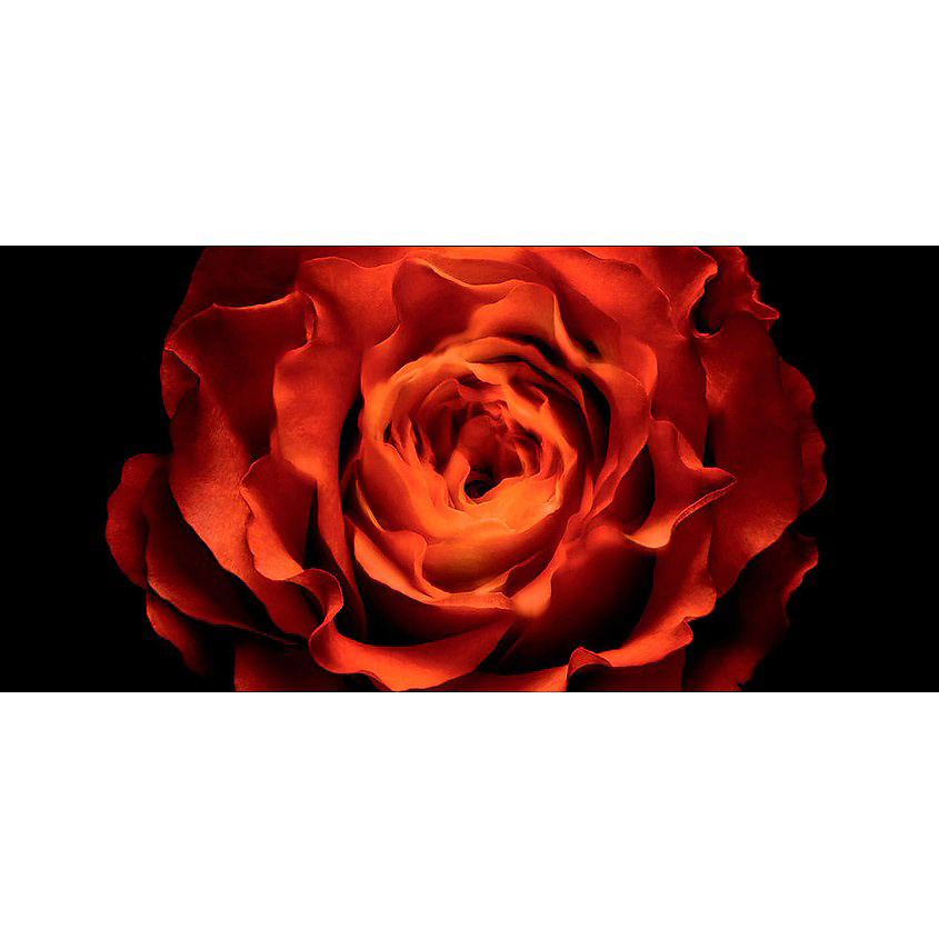 GIORGIO ARMANI ARMANI PRIVE ROSE D'ARABIE – фото 3