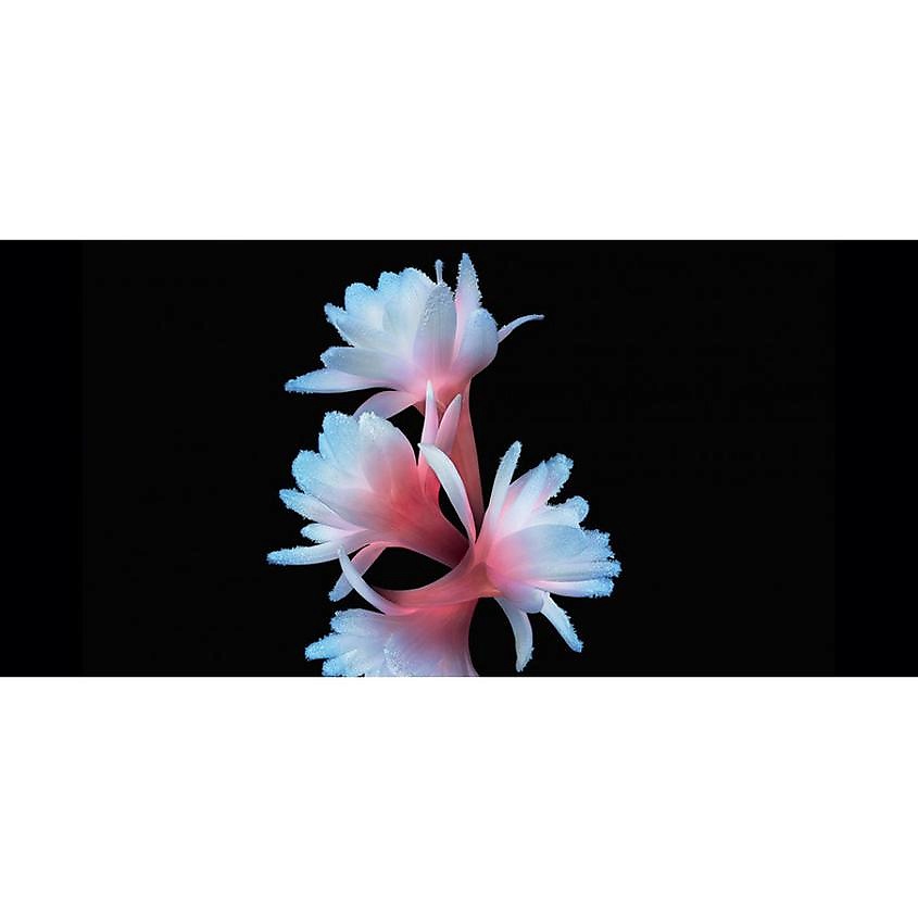 GIORGIO ARMANI ARMANI PRIVE ROUGE MALACHITE – фото 6
