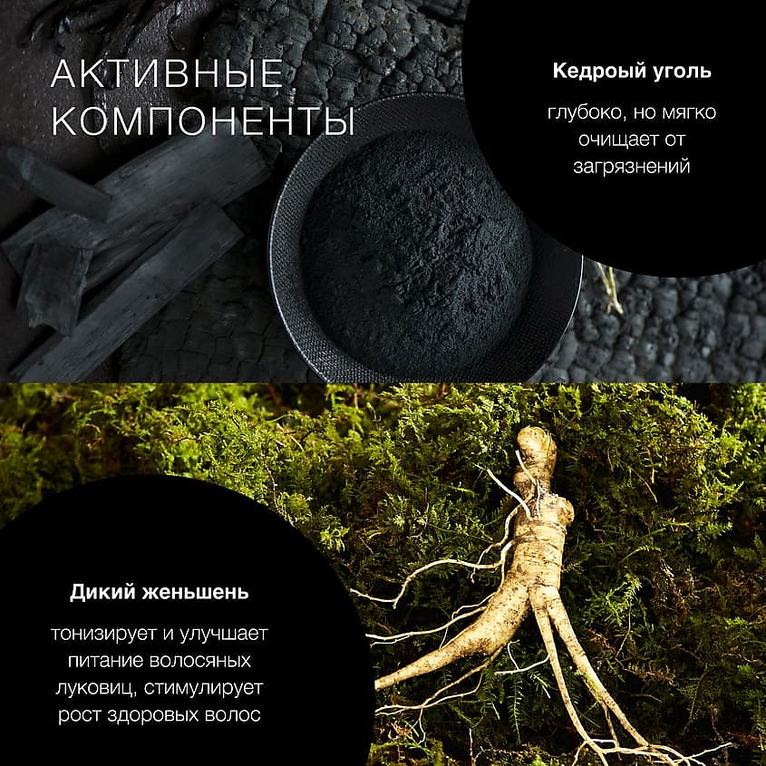 NATURA SIBERICA Шампунь-детокс для всех типов волос Sauna & Sport for Men – фото 5