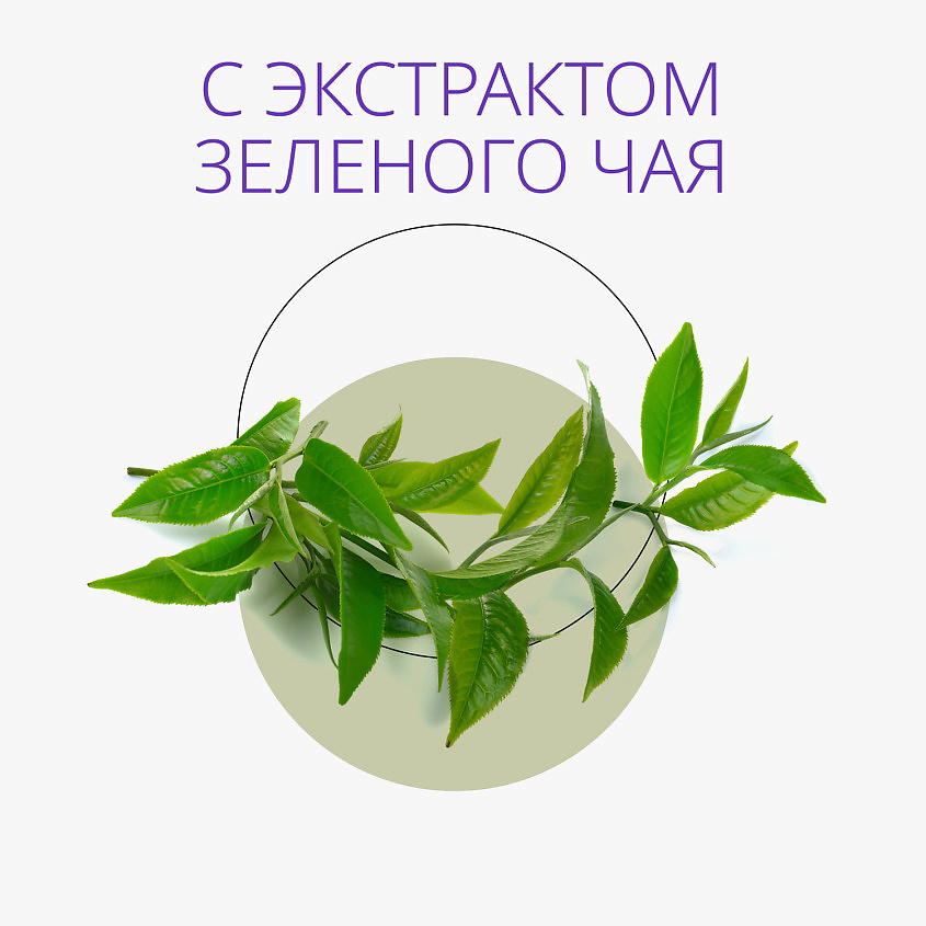 MISSHA Пенка для умывания Creamy Latte с зеленым чаем – фото 6