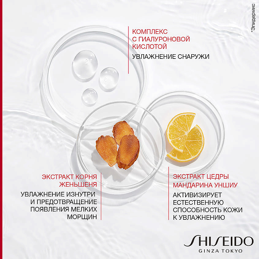 SHISEIDO Увлажняющий крем Essential Energy – фото 5