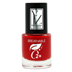 Маникюр и педикюр YLLOZURE