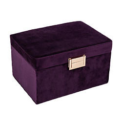 Кейсы для хранения средств макияжа TWINKLE