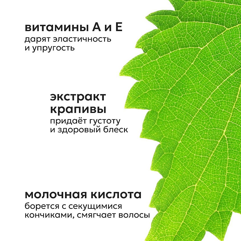 LIKATO Бальзам-Кондиционер для тонких и жирных волос Wellness – фото 4