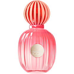 The Icon Woman Splendid