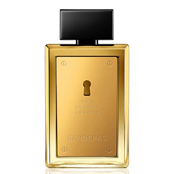 The Secret Absolu