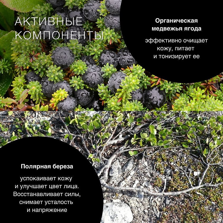 NATURA SIBERICA Многофункциональные лосьон-пэды Sauna & Sport for Men – фото 5