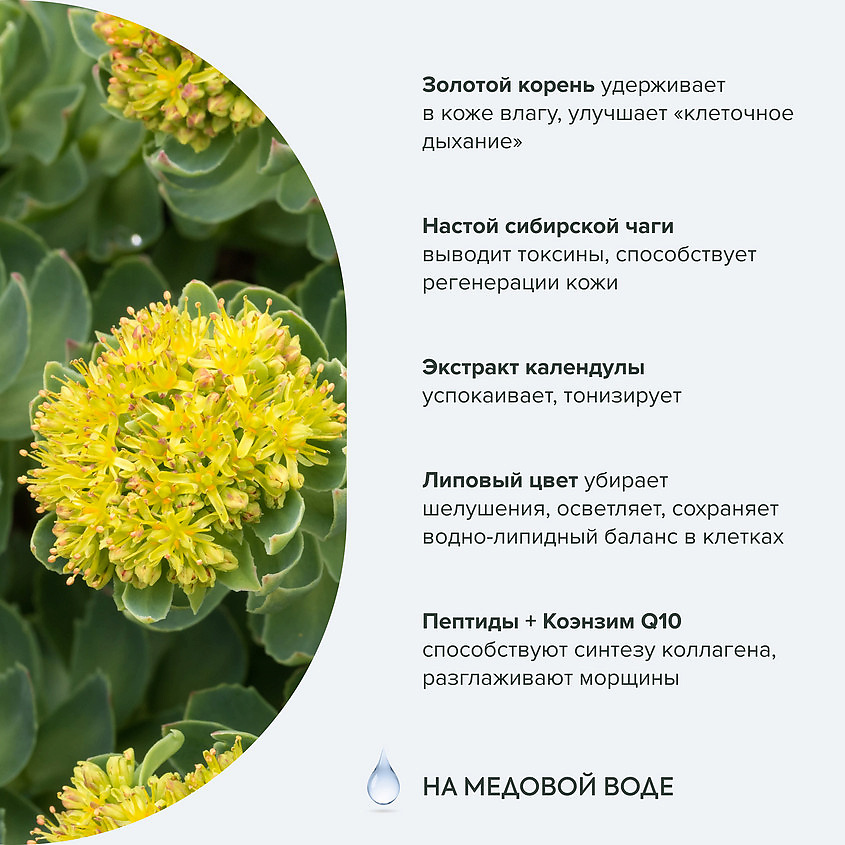 РЕЦЕПТЫ БАБУШКИ АГАФЬИ Крем-эксперт для лица золотой ночной 65+ – фото 7